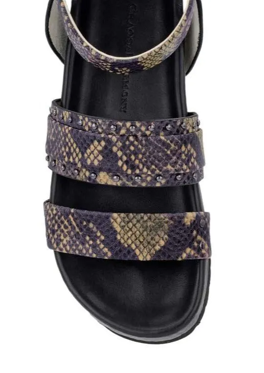 Aster Sandal Brown Snake