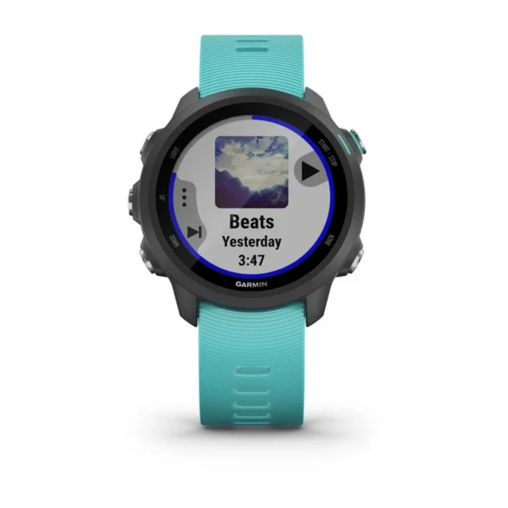 Forerunner 245 Music
