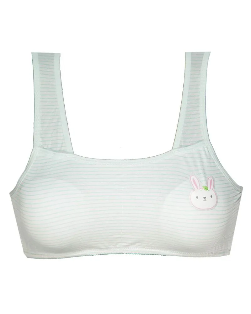 Pack of 2 -  Comforts Cotton Bra for Women, Wirefree Bra For Ladies