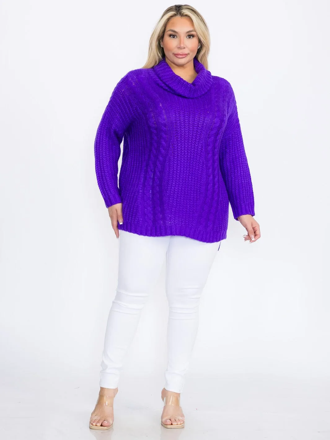 PLUS SIZE LONG SLEEVES PULLOVER TURTLE NECK SWEATER