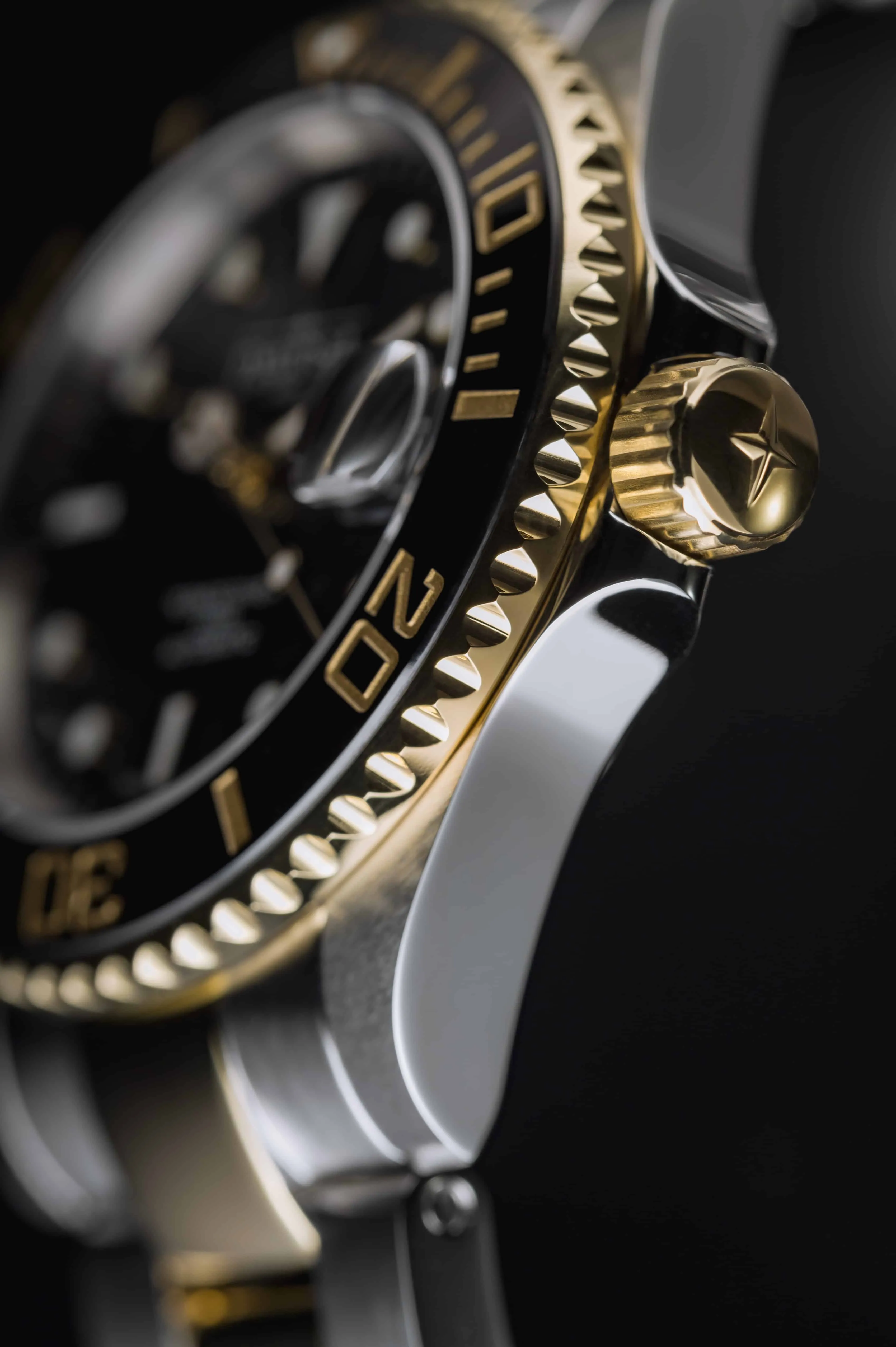 Ternos Ceramic Automatic Swiss-Made Black Gold Diving Watch 16155530
