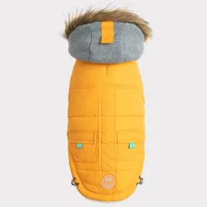 Winter Sailor Dog Parka | Yellow
