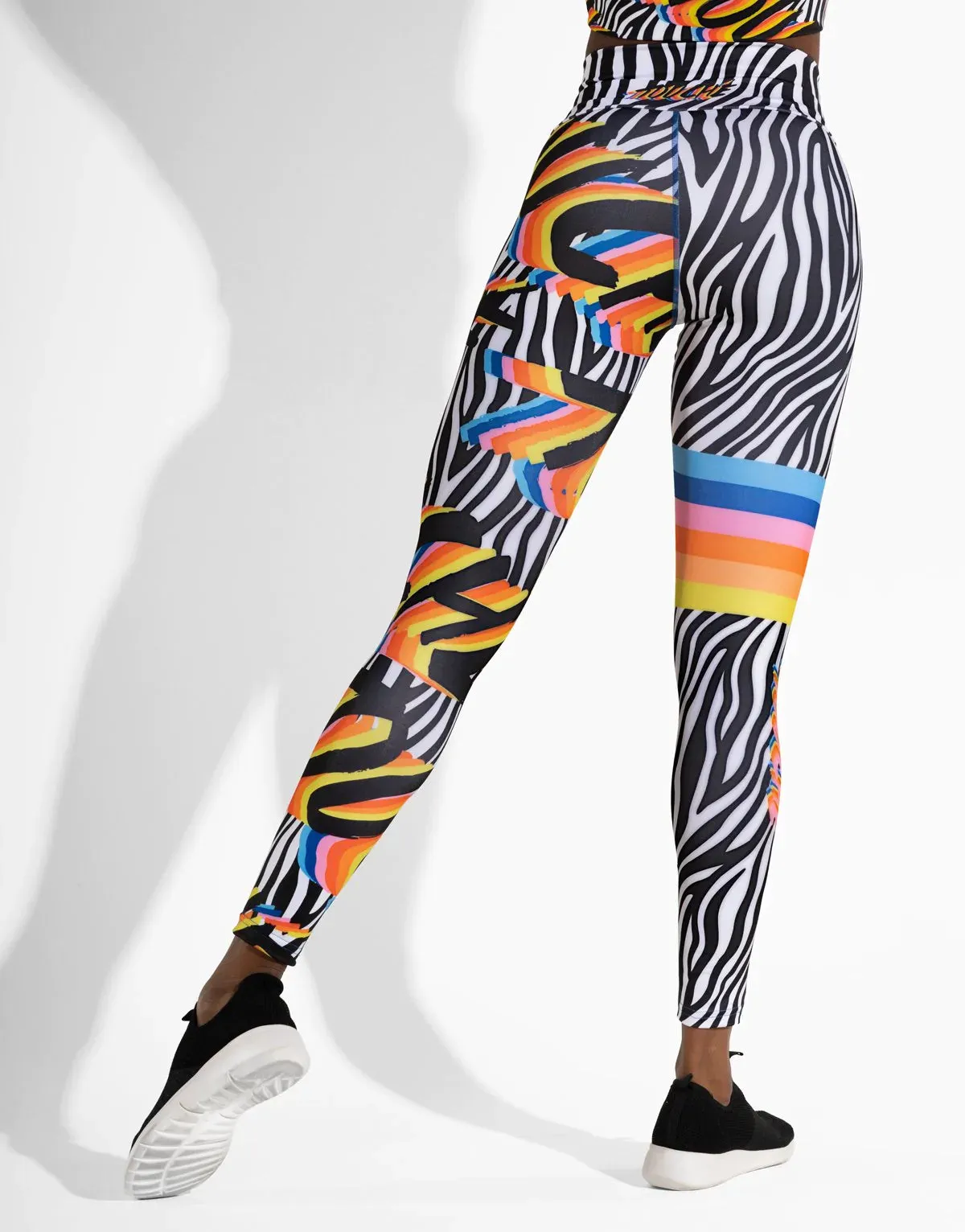 ZEBRA 3D